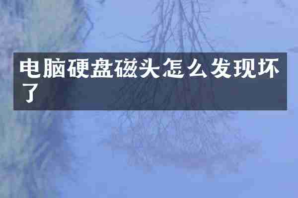 电脑硬盘磁头怎么发现坏了