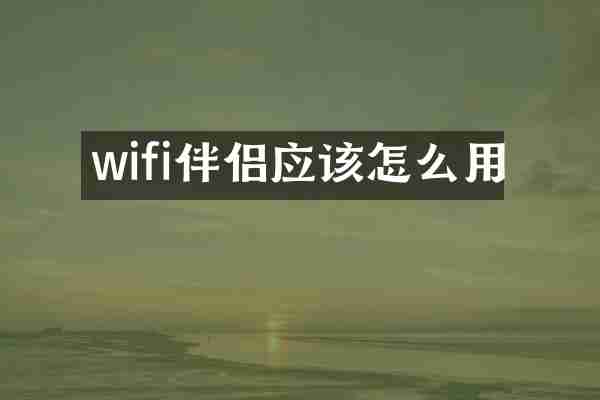 wifi伴侣应该怎么用