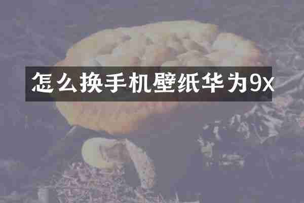 怎么换手机壁纸华为9x