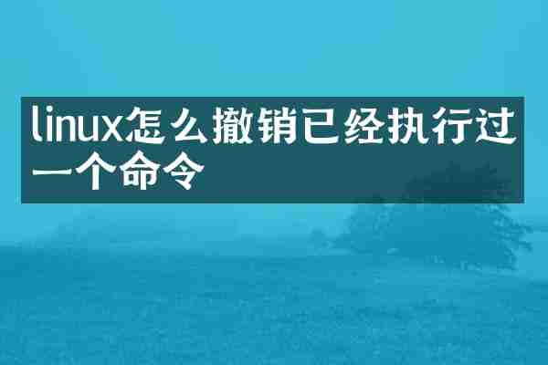 linux怎么撤销已经执行过的一个命令