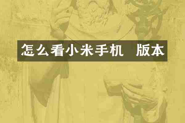 怎么看小米手机  版本