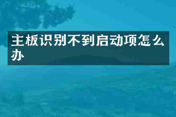 主板识别不到启动项怎么办
