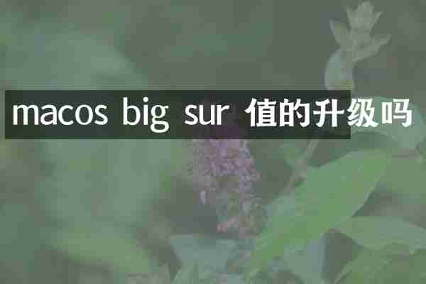 macos big sur 值的升级吗