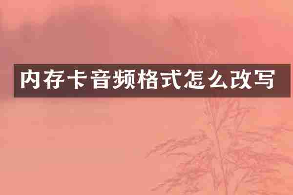 内存卡音频格式怎么改写