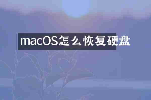 macOS怎么恢复硬盘