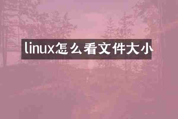 linux怎么看文件大小