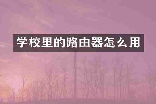 学校里的路由器怎么用