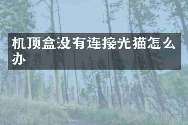 机顶盒没有连接光猫怎么办