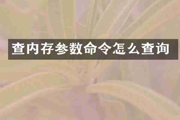 查内存参数命令怎么查询