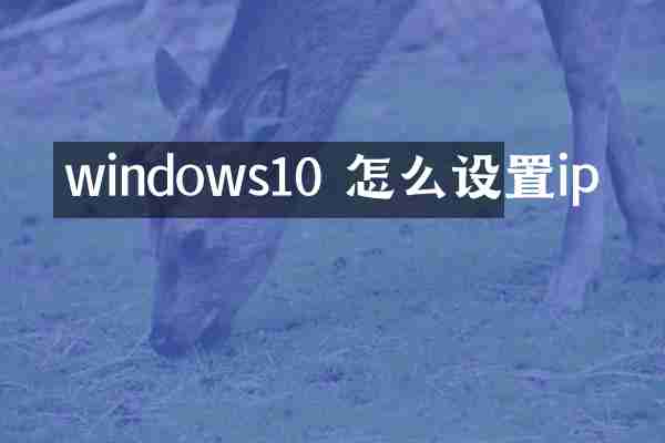 windows10 怎么设置ip