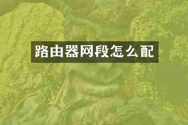 路由器网段怎么配
