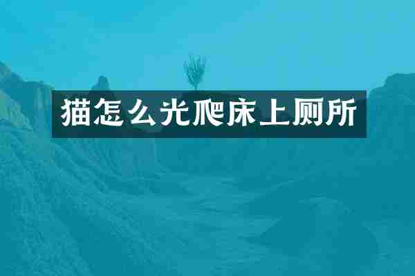 猫怎么光爬床上厕所