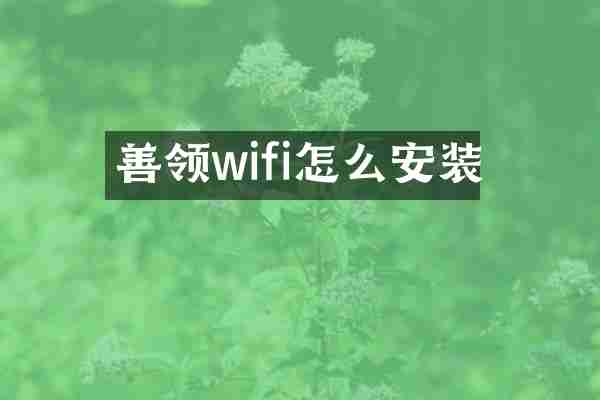 善领wifi怎么安装