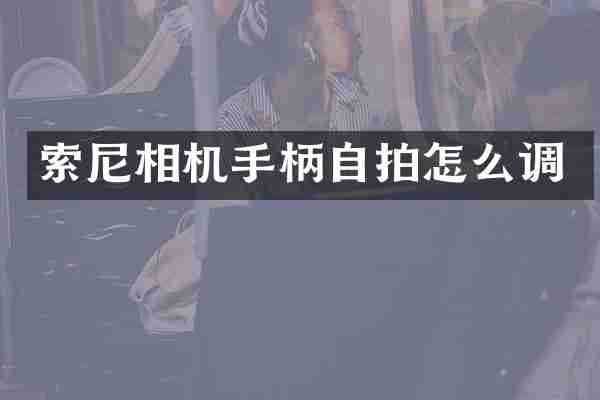 相机手柄怎么调