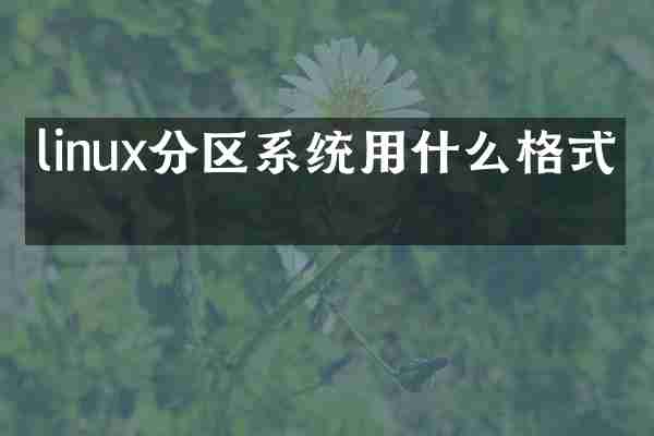 linux分区系统用什么格式化