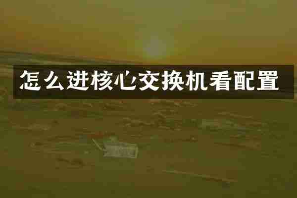 怎么进核心交换机看配置