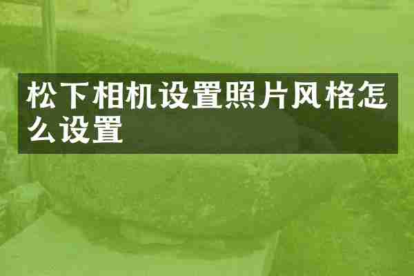 相机设置照片风格怎么设置