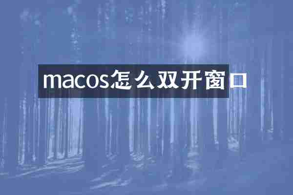 macos怎么双开窗口