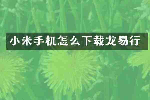 小米手机怎么下载龙易行