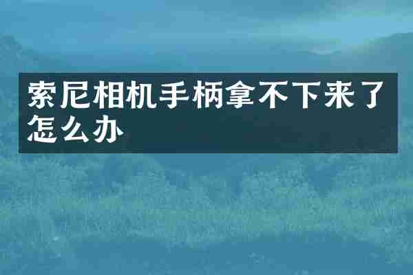 索尼相机手柄拿不下来了怎么办