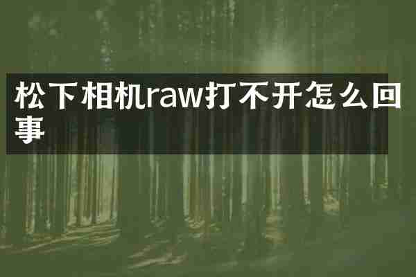 相机raw打不开怎么回事