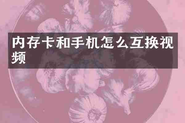 内存卡和手机怎么互换视频