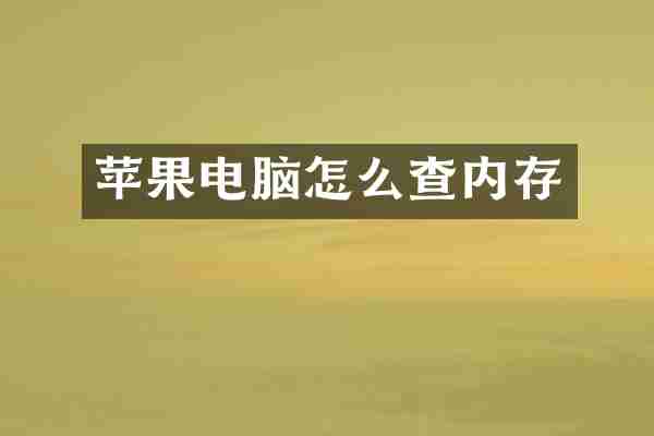 苹果电脑怎么查内存