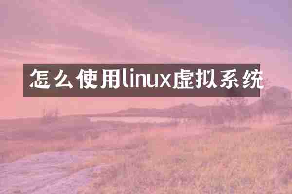 怎么使用linux虚拟系统