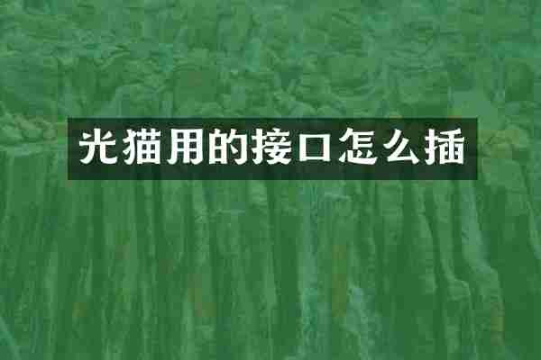 光猫用的接口怎么插