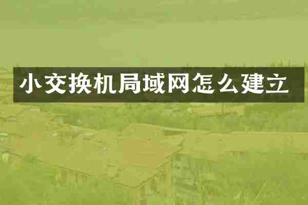 小交换机局域网怎么建立