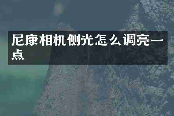 尼康相机侧光怎么调亮一点