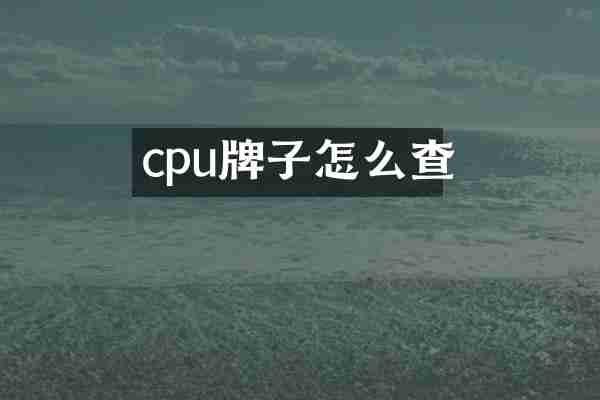 cpu牌子怎么查