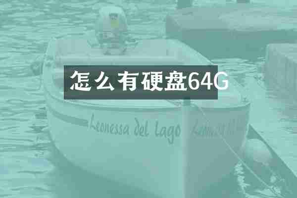 怎么有硬盘64G