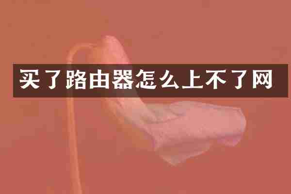 买了路由器怎么上不了网
