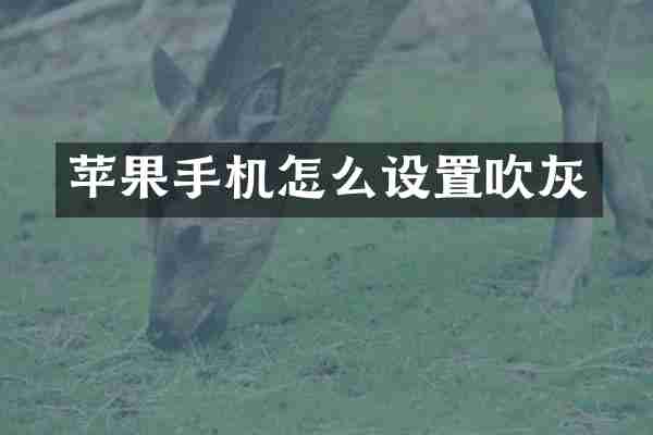 苹果手机怎么设置吹灰