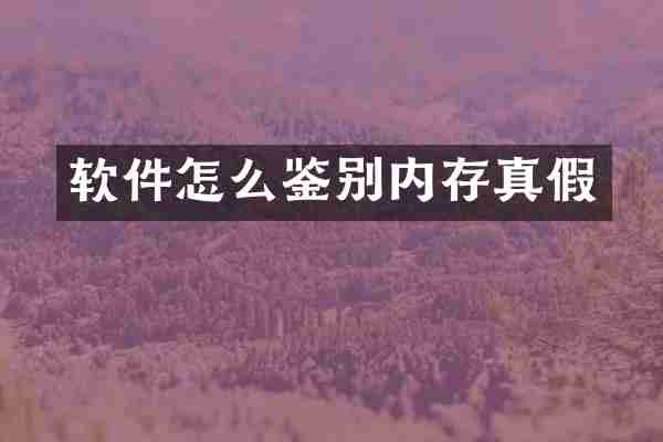 软件怎么鉴别内存真假