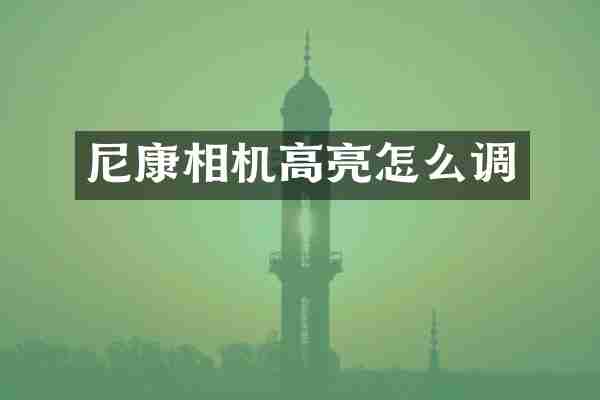 尼康相机高亮怎么调