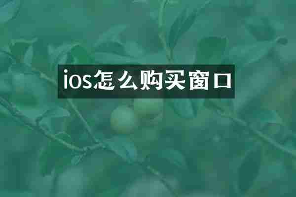 ios怎么购买窗口