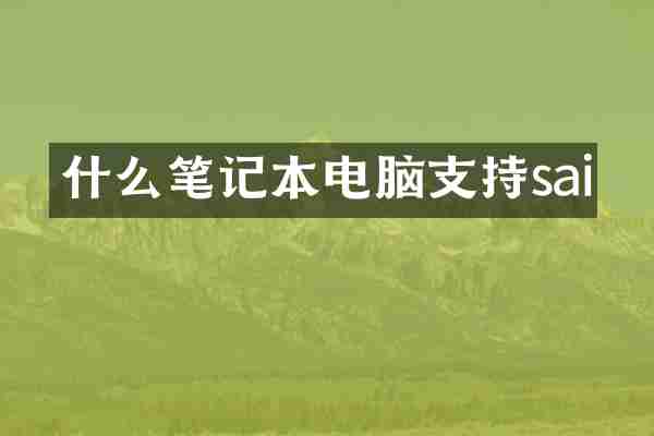 什么笔记本电脑支持sai