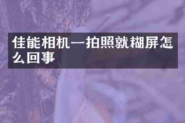 佳能相机一拍照就糊屏怎么回事