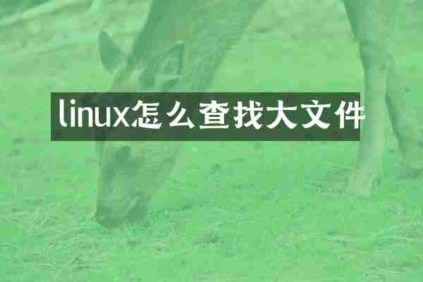 linux怎么查找大文件