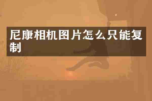 尼康相机图片怎么只能复制