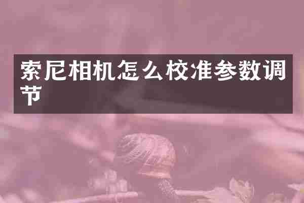 相机怎么校准参数调节