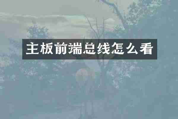 主板前端总线怎么看