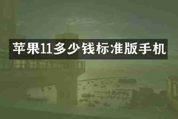 苹果11多少钱标准版手机
