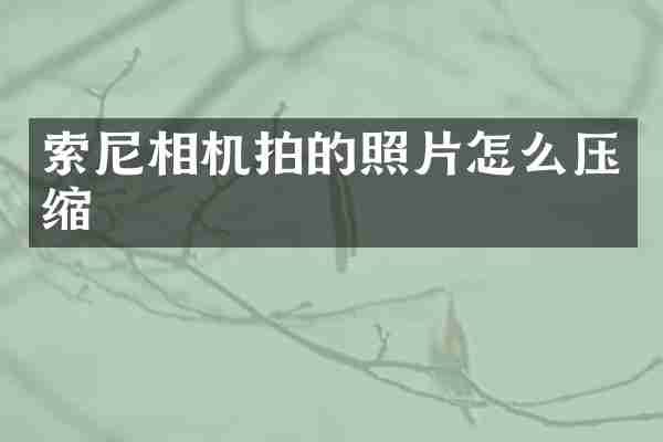 相机拍的照片怎么压缩