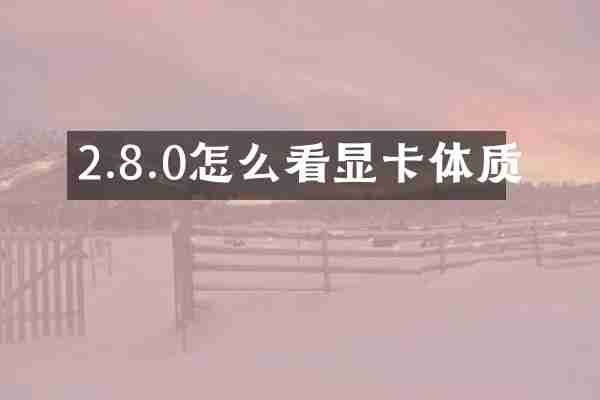 2.8.0怎么看显卡体质