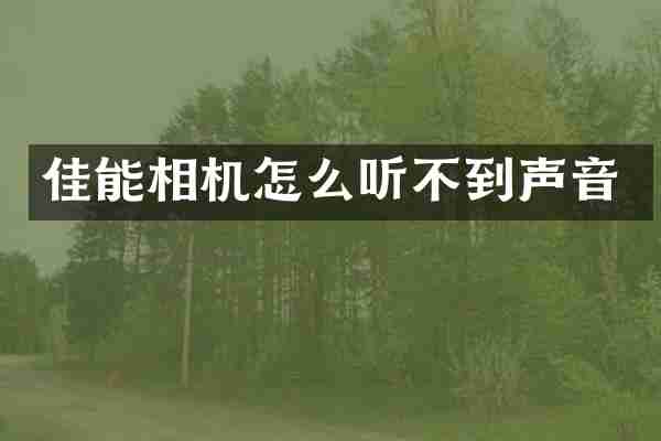 佳能相机怎么听不到声音