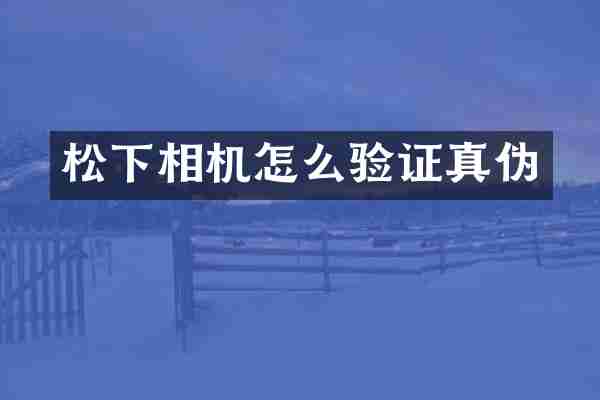 松下相机怎么验证真伪