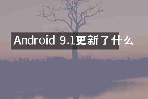Android 9.1更新了什么